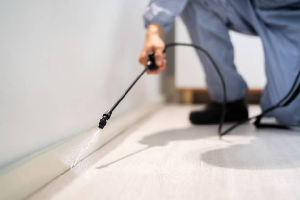 Licensed Cockroach Control service in Interlachen, FL - Nex Pest Control